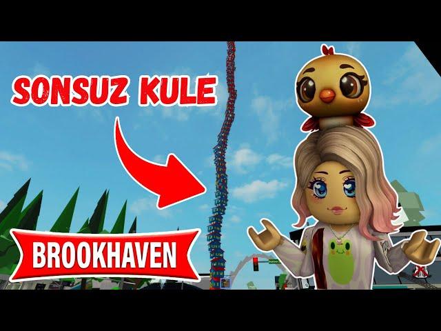 BROOKHAVENDA SONSUZ KULEARIGİLLERTUBA ARIROBLOX BrookhavenRPAYŞEM ECE ARI