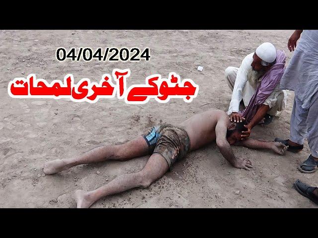 New Kabaddi Match 2024 | Javed Iqbal jatto Vs Achoo 302 In Khanewal 04 April 2024