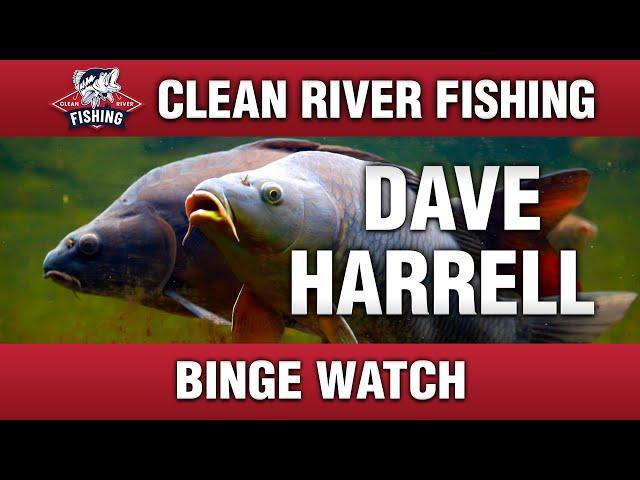 CRP269 DAVE HARRELL BINGE-WATCH