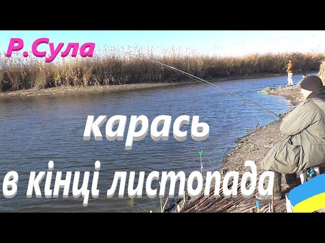 #Сула # Карась в кінці листопада #РибачуЯкУмію  : Частина №1.