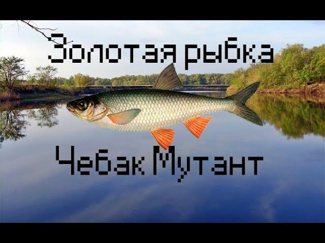 Русская рыбалка 3: Норвегия - Чебак мутант