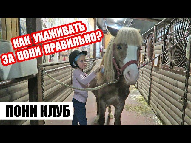 Уход за пони | Как причесывать гриву и чистить подковы у лошади | Основы верховой езды на пони