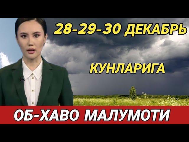 28-29-30 ДЕКАБРЬ КУНЛАРИ УЧУН ОБ ХАВО МАЛУМОТИ, ob havo.