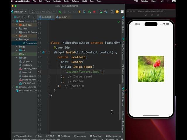 add image asset in flutter