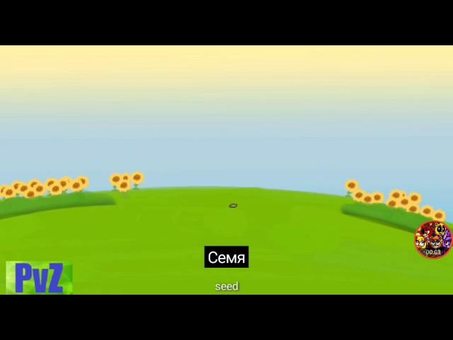 Жизненый цикл подсолнуха