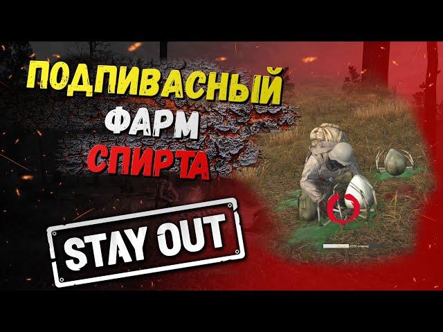 Фарм спирта в окрестности Любеча | Топ фарм для новичков в Любече | Stay Out | Сталкер Онлайн