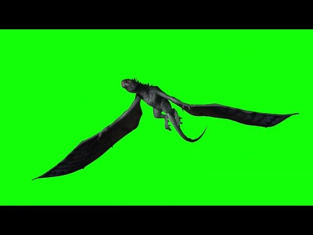 [4K] Flying Dragon - Green Screen