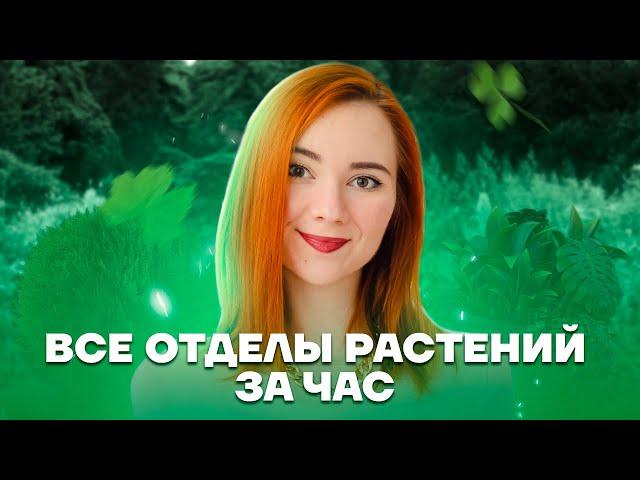 Все отделы растений за час | Биология ЕГЭ 2023 | Умскул