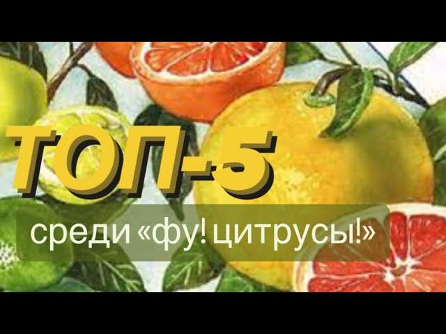 ТОП-5 ЦИТРУСОВЫХ АРОМАТОВ (и один спорный)