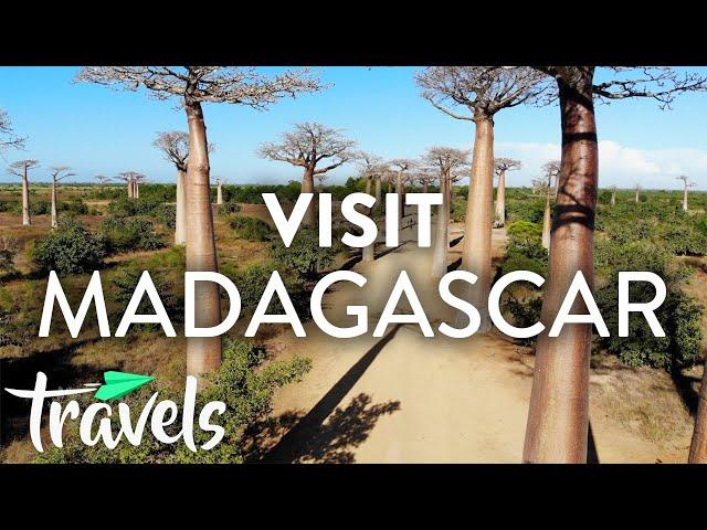 Top 10 Reasons to Visit Madagascar | MojoTravels