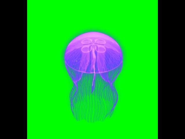 PURPLE JELLYFISH ON GREEN BACKGROUND   JBCAM TV 720p, h264