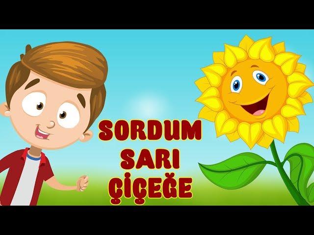 SORDUM SARI ÇİÇEĞE (Muhteşem Çocuk İlahisi) / Bibercik TV Çocuk İlahileri