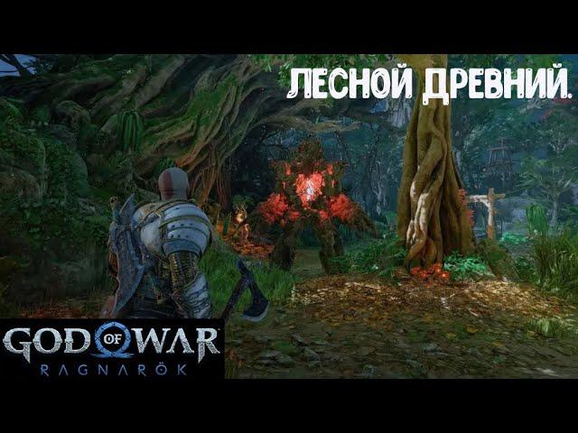 God of War Ragnarök. Как убить Лесного Древнего. Сложность Бог войны.