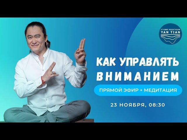 Как научиться управлять вниманием | Прямой эфир + медитация | Ян Тиан