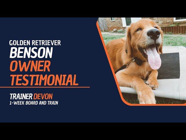 Benson the Golden Retriever Owner Testimonial | Off Leash K9 | Board & Train | Oklahoma