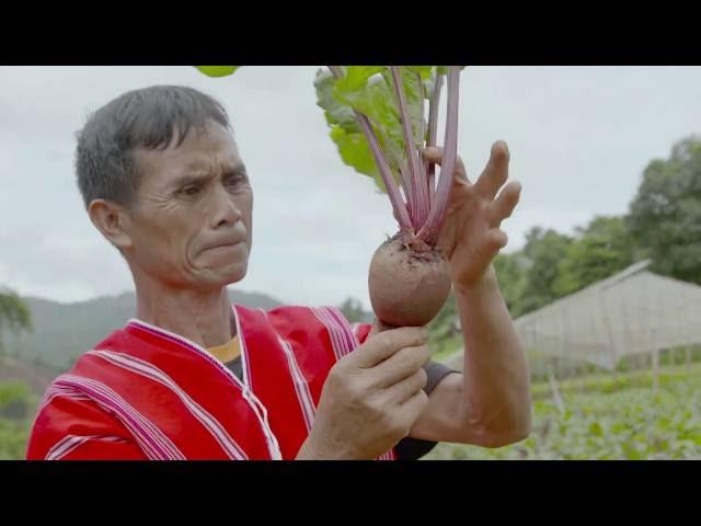 The Royal Project of Thailand
