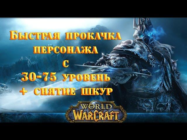 Прокачка персонажа+снятие шкур в World of Warcraft