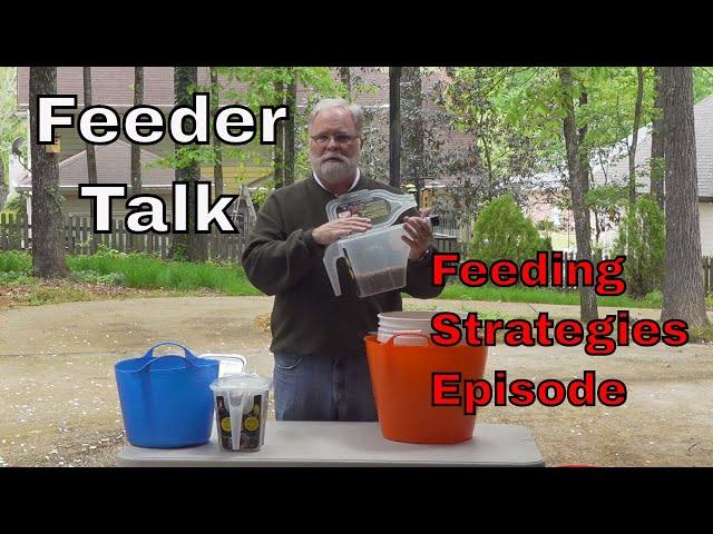 Bird Food Types, Feeding Tools, Feeding Strategies and Feeding Tips
