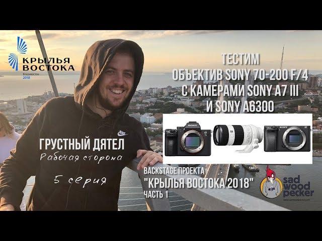 РАБОЧАЯ СТОРОНА 5. Sony a7iii и Sony a6300 с объективом Sony 70-200 f/4. Крылья Востока 2018 ч.1