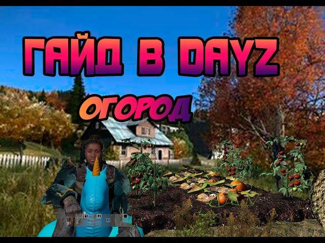 Гайд в DayZ. Как построить огород?