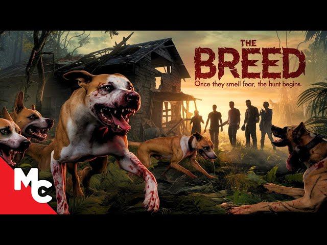 Wild Dogs Hunt Them One By One | Hollywood Action Survival Movie | The Breed