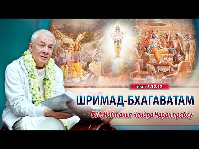 05/12/2024 Встреча студентов школы «Ашрая» с Е.М. Чайтанья Чандра Чараном прабху. Вриндаван Парк