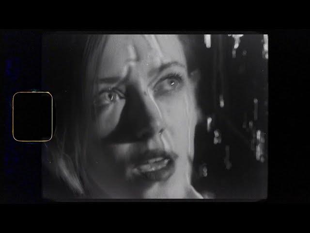 Wonderzero - Porcelain | Curltai Music Vision