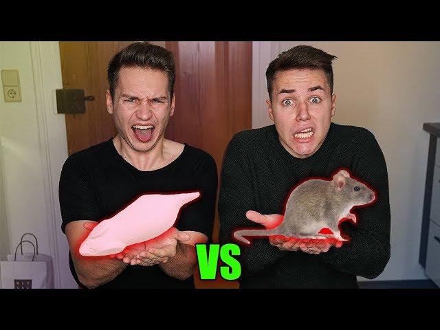 GUMMI ESSEN vs ECHTES ESSEN !!! | Schinken Brothers