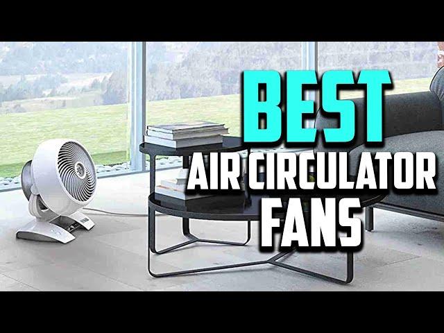 Top 10 Best Air Circulator Fans in 2023 Reviews