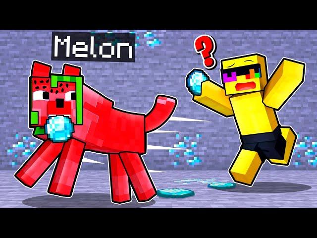 Melon Is HELPFUL DOG in Minecraft!