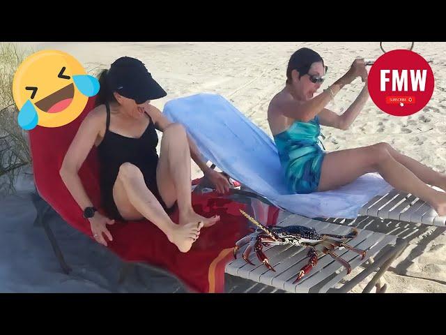 Funny & Hilarious People's Life  #210 - Try not to Laugh | Instant Regret Fails Compilation 2024