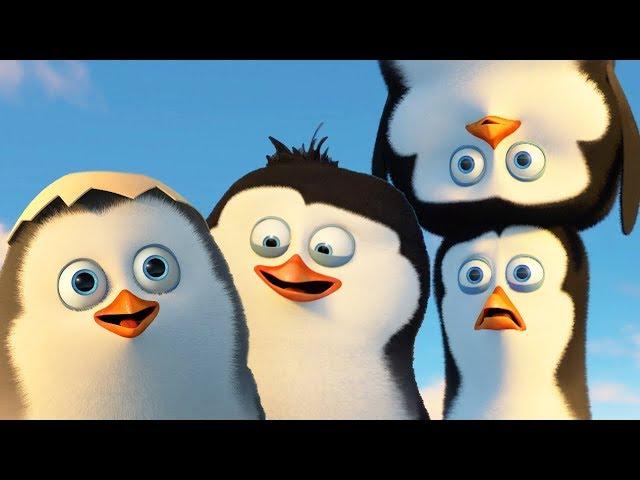 DreamWorks Madagascar | Best Penguins of Madagascar Scenes - Funny Action Moments | Kids Movies