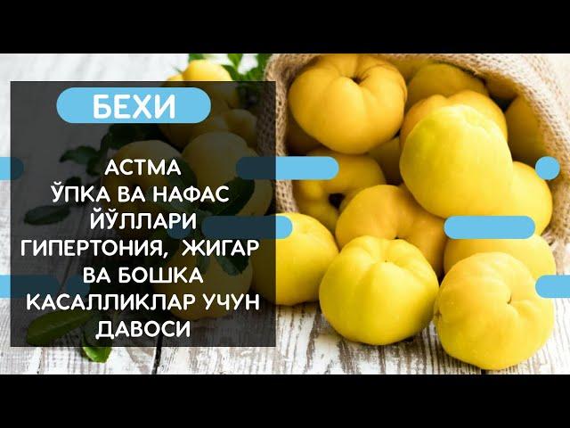 БЕХИНИНГ АСТМА, УПКА ВА НАФАС ЙУЛЛАРИ, ГИПЕРТОНИЯ ВА БОШКА КАСАЛЛИКЛАР УЧУН ФОЙДАСИ