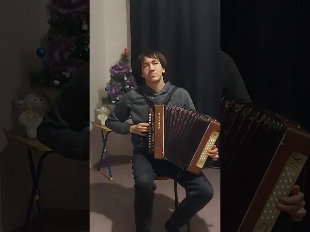 Новогодняя музыка ( на гармошке)