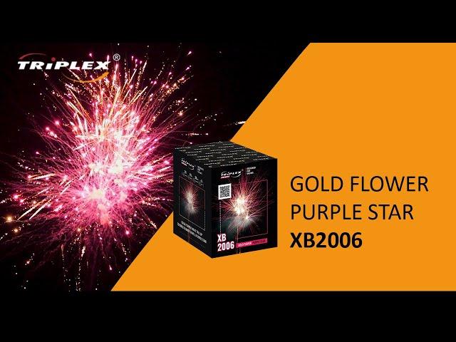FAJERWERKI XB2006 25S 1.2 '' CAKE GOLD FLOWER PURPLE STAR F2 PROFI TRIPLEX FIREWORKS
