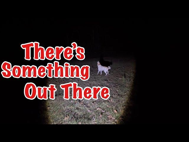 The Scariest Night Ever: My Dog Saved Our Animals AND Me!