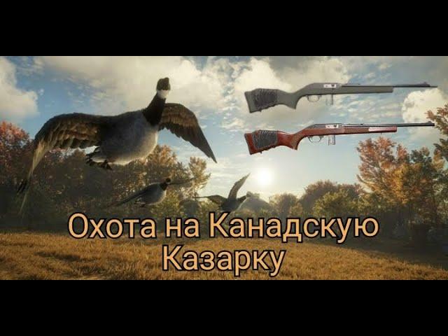 theHunter:Call of the Wild/Охота на Канадскую Казарку