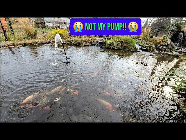  MY POND PUMP!!  PLEASE BE OK!! #ponds #koi #fish #aquascape #waterfall