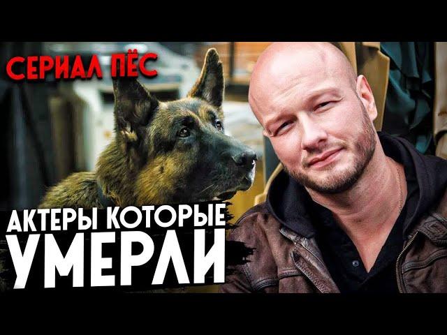 Актеры из сериала ПЁС, которые умерли...