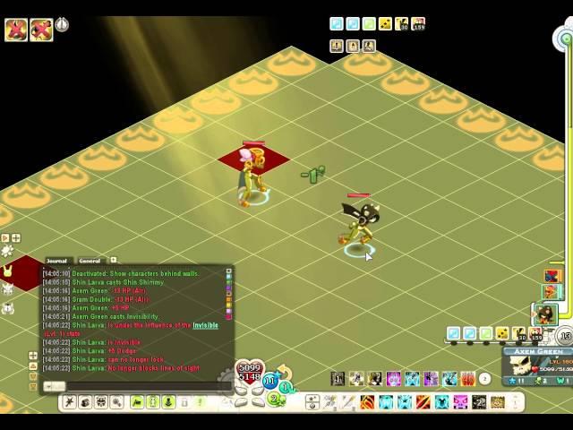 Wakfu Invisibilty Bug