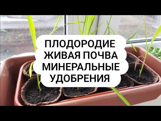 Плодородие Живой Почвы Какие удобрения?