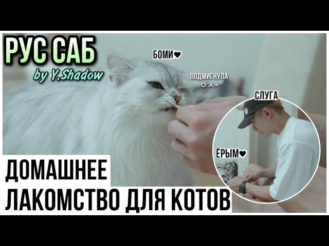 [РУС САБ | RUS SUB] [WONHO] ГОТОВИМ ЛАКОМСТВО ДЛЯ КОШЕК ВОНХО, жевательная вкусняшка — [ohhoho]