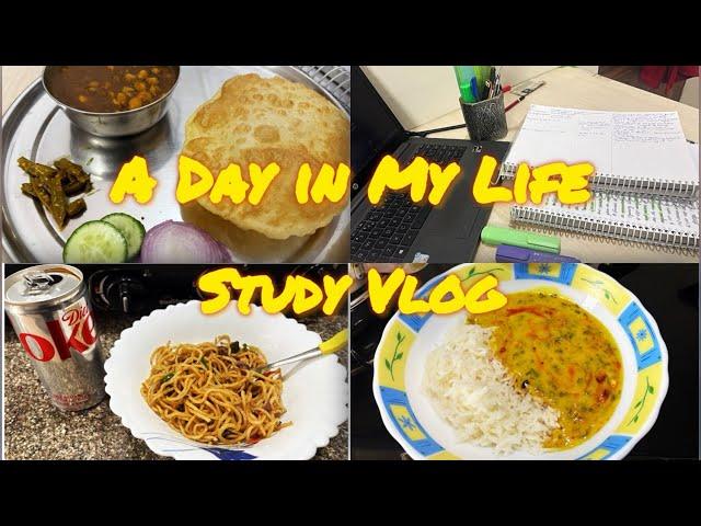 STUDY&CHILL VLOG|| PRODUCTIVE DAY|| STUDY WITH ME|| COOKING 