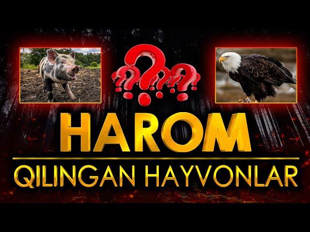 HAROM GO'SHT•GO'SHTI HAROM QILINGAN HAYVONLAR