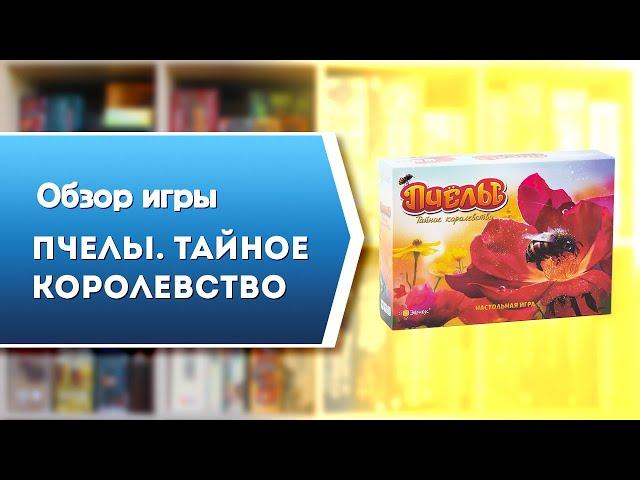 ПЧЁЛЫ. Обзор и правила настольной игры от Эврикус