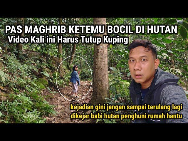 PLEASE.. INI MISTERIUS BANGET!! 60 TAHUN TERSEMBUNYI PILIH TINGGAL DI RUMAH TENGAH HUTAN BELANTARA