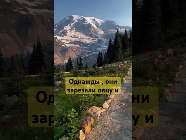 Однажды они зарезали овцу и | #quran #sabr #ислам