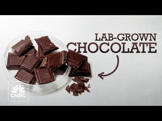 The price of cocoa is soaring — could lab-grown chocolate be the answer?