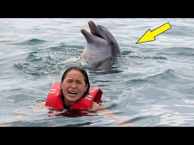 A dolphin attacked a man?! In the video you will learn the incredible truth!