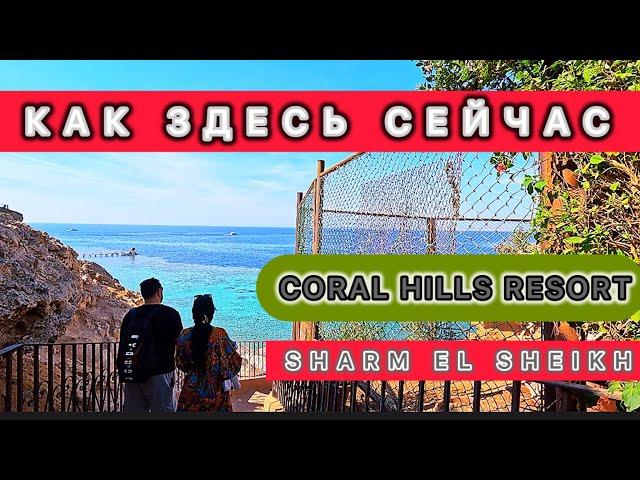  ВЕРНУЛСЯ В ШАРМ / CORAL HILLS RESORT / Территория / Питание / Пляж /